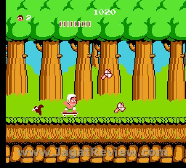 Adventure Island 9