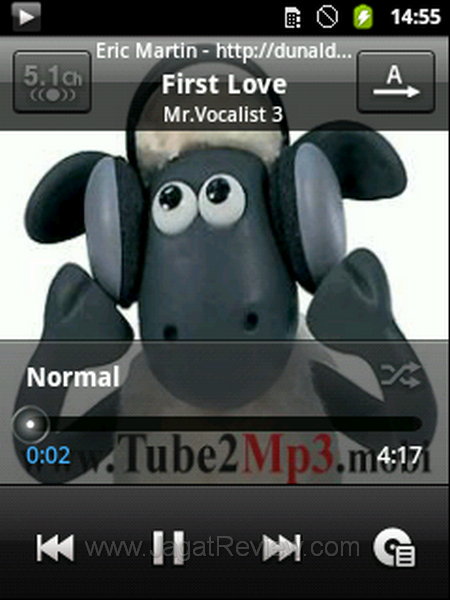 Samsung Galaxy Y - Audio Samsung Galaxy Y Audio