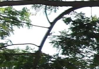 SAM 4083 NX200 ISO 100