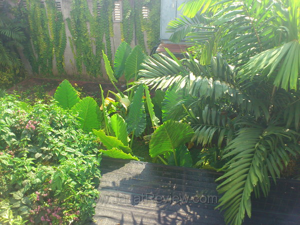 Xperia Ray Kamera Utama Outdoor