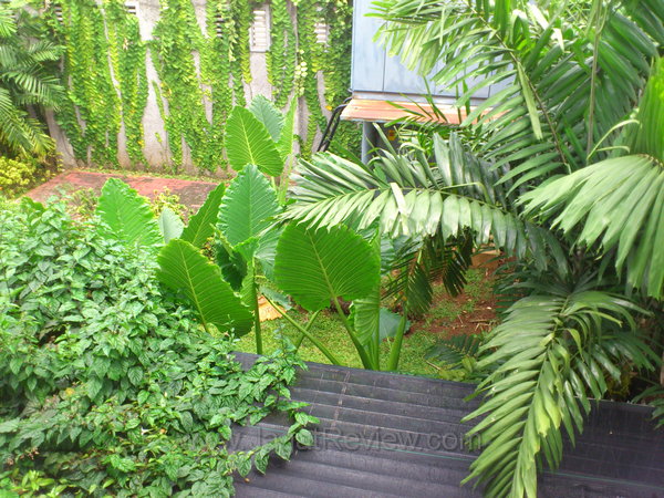 Xperia Neo - Kamera Utama Outdoor Xperia Neo Kamera Utama Outdoor