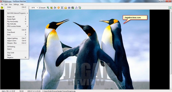 fast stone max view fast stone max view