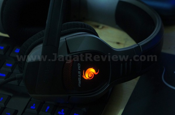 SONY DSC CM Storm 15