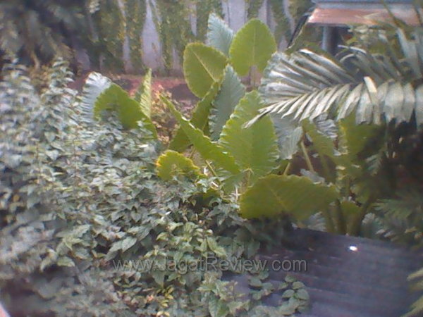 Live Walkman Kamera Depan Outdoor