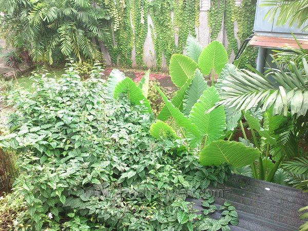 Live Walkman Kamera Utama Outdoor