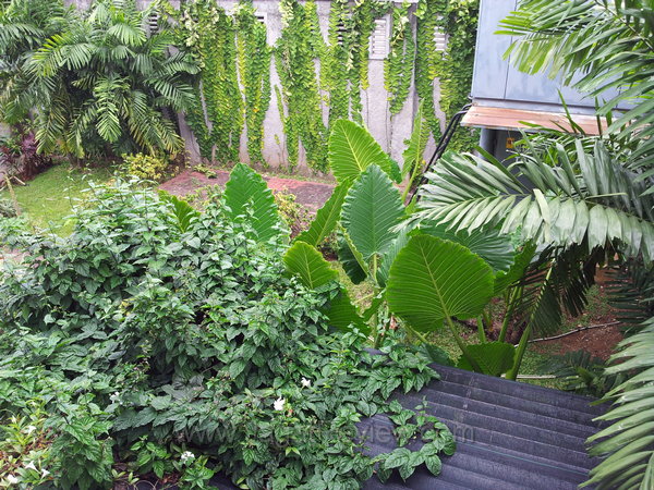 Samsung Galaxy Note Kamera Utama Outdoor