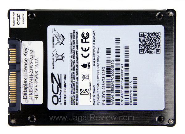 Synapse - Belakang Synapse Belakang