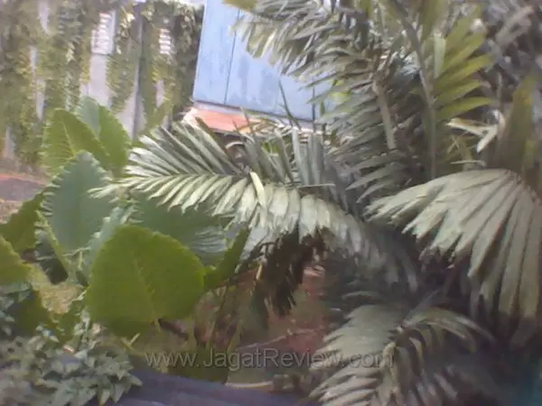 Xperia Mini Pro - Kamera Depan Outdoor Xperia Mini Pro Kamera Depan Outdoor