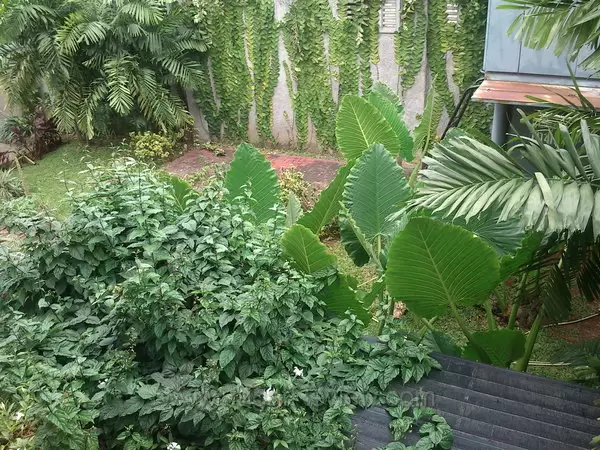 Xperia Mini Pro - Kamera Utama Outdoor Xperia Mini Pro Kamera Utama Outdoor