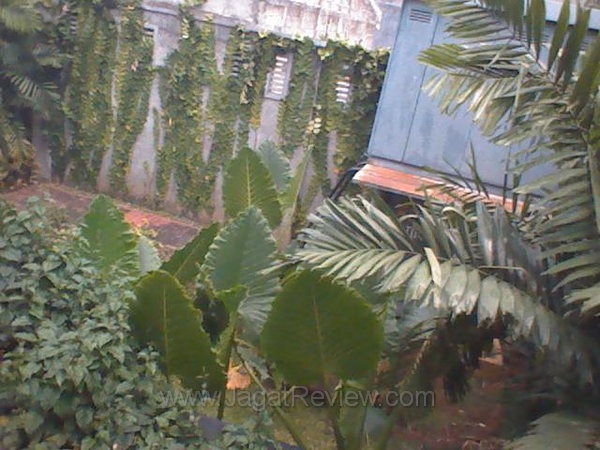 Xperia Pro Kamera Depan outdoor