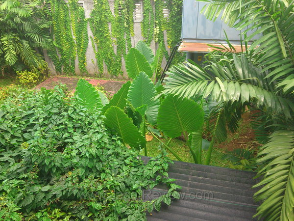 Xperia Pro Kamera Utama Outdoor