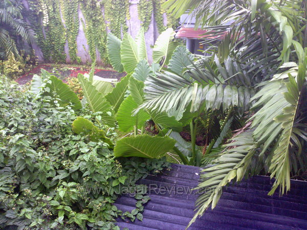 ASUS EEEPad Slider Kamera Utama Outdoor