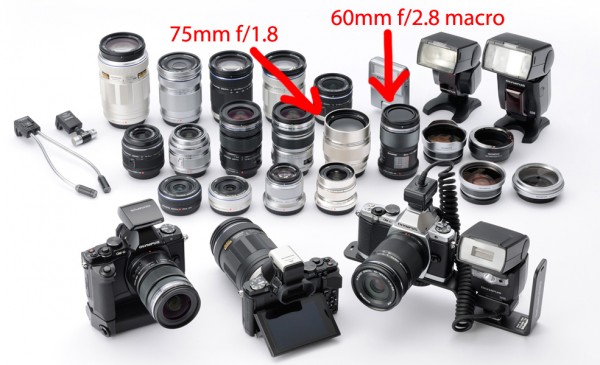 image-1 image 1