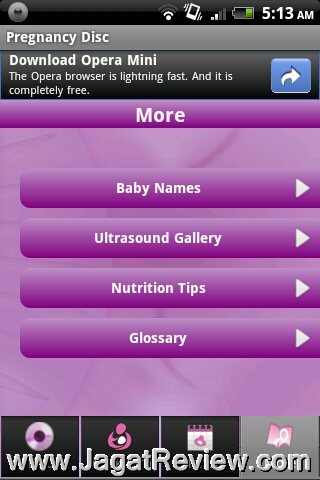 Pregnancy Disc Pregnancy Disc