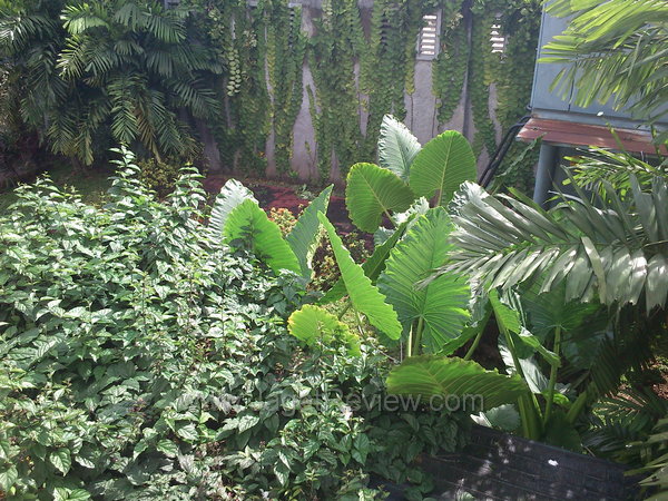 Xperia Mini - Kamera Outdoor Xperia Mini Kamera Outdoor