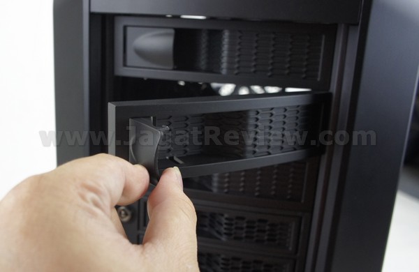 SONY DSC Cosmos II 39