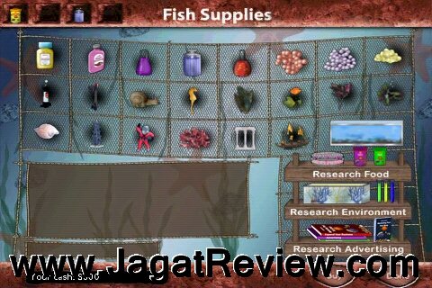 Fish Suplies Fish Suplies