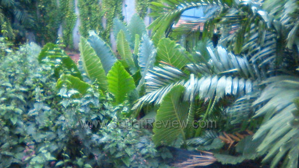 Sony Xperia S - Kamera Depan Outdoor