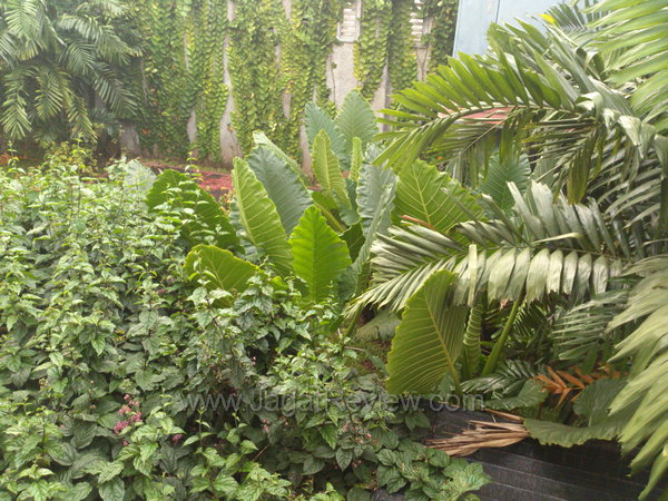 Sony Xperia S - Kamera Utama Outdoor