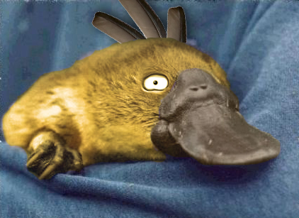 Mari Menangkap Pokemon di Dunia Nyata! 14 psyduck