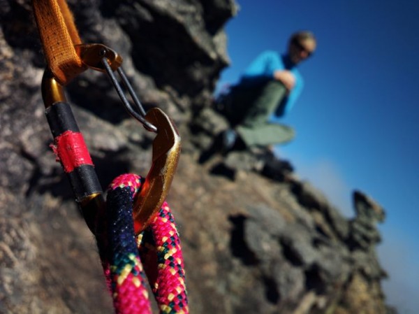 700-close-up-captured-with-nokia-808-pureview 700 close up captured with nokia 808 pureview