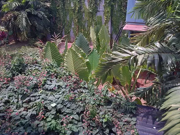 Blackberry Curve 9320 Hasil Kamera Outdoor