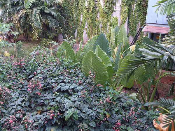 Sony Xperia Ion - Hasil Kamera Utama Outdoor Sony Xperia Ion Hasil Kamera Utama Outdoor