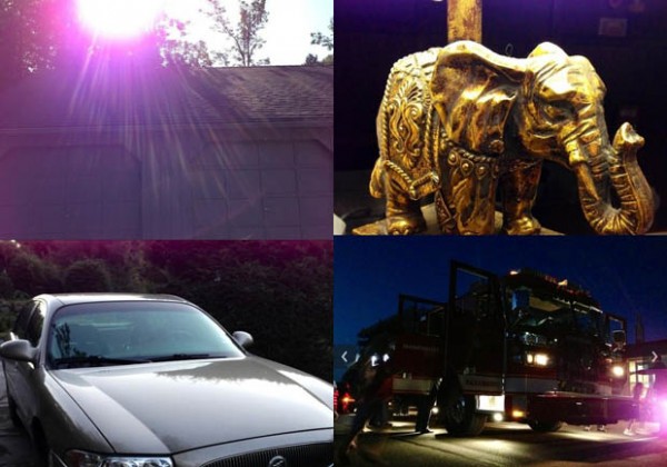 purpleflare purpleflare