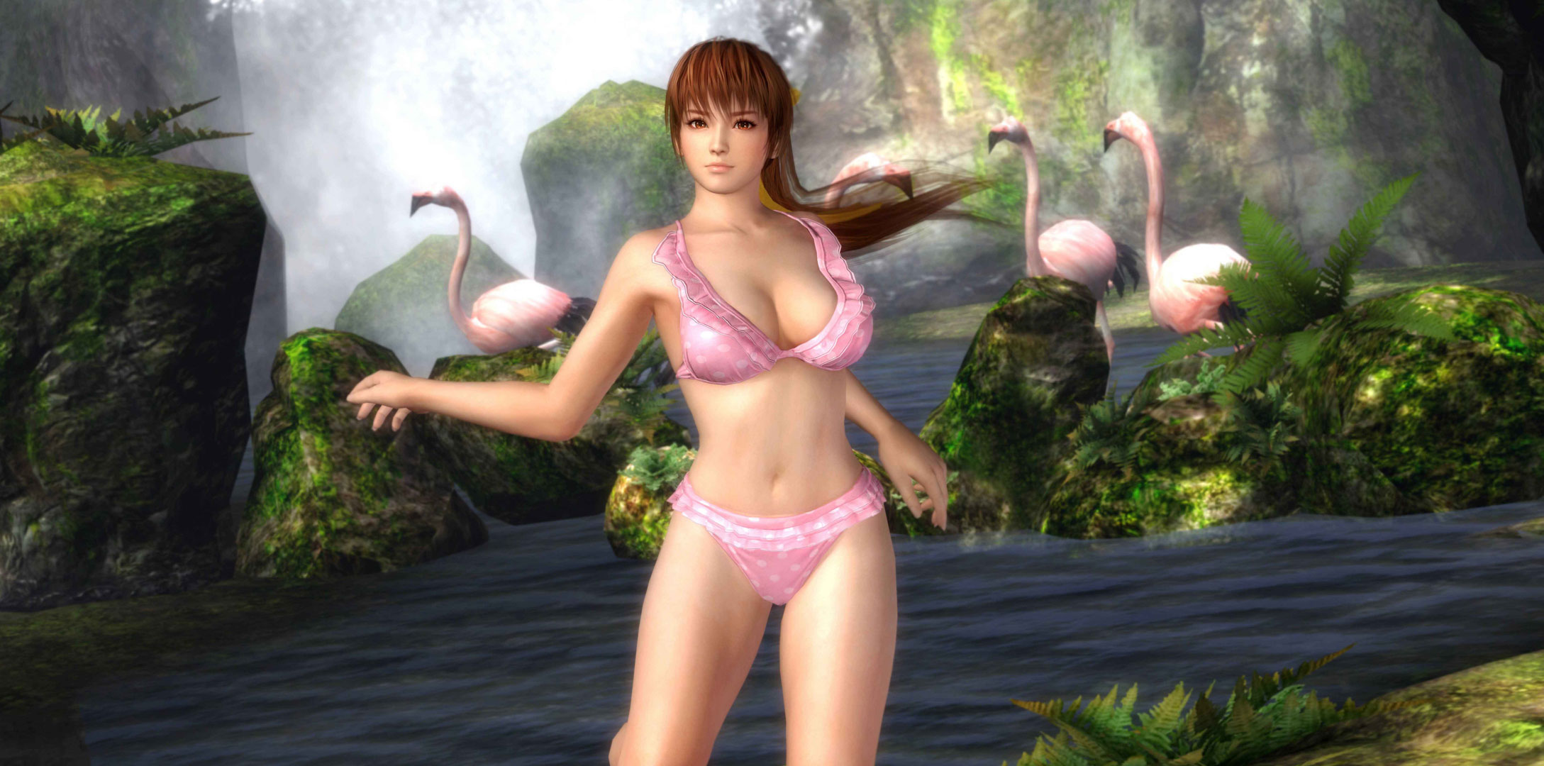 Fans Adalah Alasan Sensualitas Dead or Alive 5! 2 kasumi doa 5 bikini