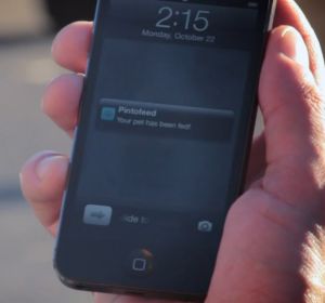 Pintofeed, Cara Praktis Memberi Makan Hewan Peliharaan Dengan Smartphone 2 4249597163
