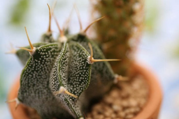 823A7960_tcm14-988335 823A7960 tcm14 988335