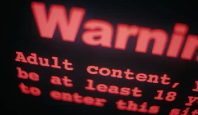 93 Miliar View Video Porno Hanya dari Dua Website 5 Adult Video Viewing