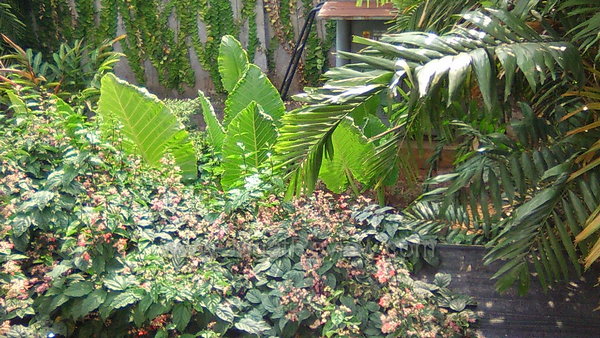 Sony Xperia SL Hasil Foto Kamera Depan Outdoor