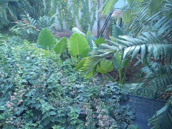 sony xperia miro back cam outside sony xperia miro back cam outside