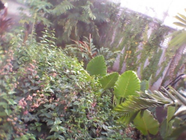 sony xperia miro front cam outside sony xperia miro front cam outside