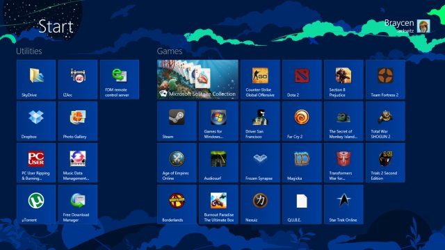 windows 8