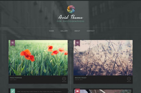 wordpressportfolio-2 wordpressportfolio 2