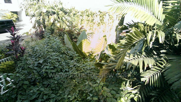 HTC Windows Phone 8x - Hasil Kamera Depan Outdoor HTC Windows Phone 8x Hasil Kamera Depan Outdoor