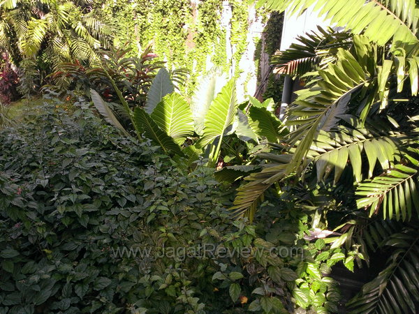 HTC Windows Phone 8x - Hasil Kamera Utama Outdoor HTC Windows Phone 8x Hasil Kamera Utama Outdoor