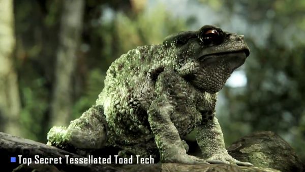 KodokTesselated KodokTesselated