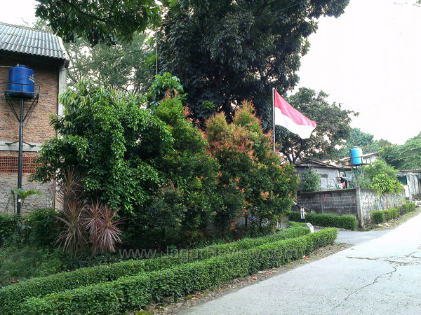 htc one x+ back camera outdoor htc one x+ back camera outdoor