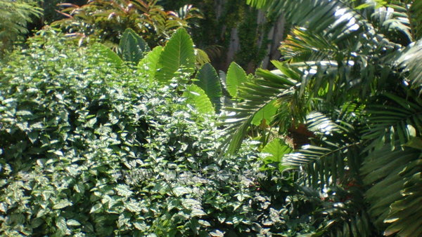 Sony Xperia Z - Kamera Depan Outdoor Sony Xperia Z Kamera Depan Outdoor