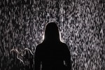 interactive rain room exhibit allows 20130515 143040 396