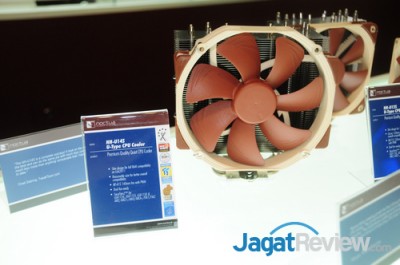 Noctua_021