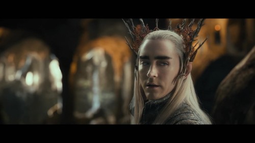 The-Hobbit--The-Desolation-of-Smaug-Official-Teaser-Trailer-[HD][www.savevid.com].mp4_snapshot_00.22_[2013.06.12_00.20.13]