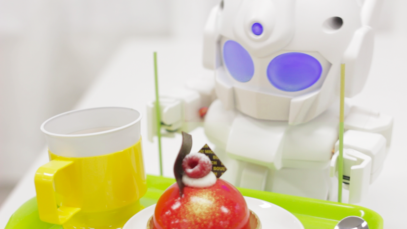 RAPIRO: Robot Mini Rakitan Sendiri untuk Rapsberry Pi 5 rapiro 03