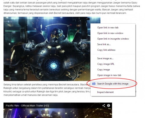 Tips Memaksimalkan Pencarian Gambar dengan Google Images 11 google images - extension