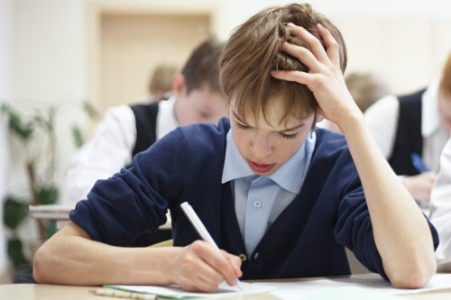 Tes IQ Tunjukkan Sistem AI Canggih Hanya Secerdas Anak 4 Tahun 1 student_test