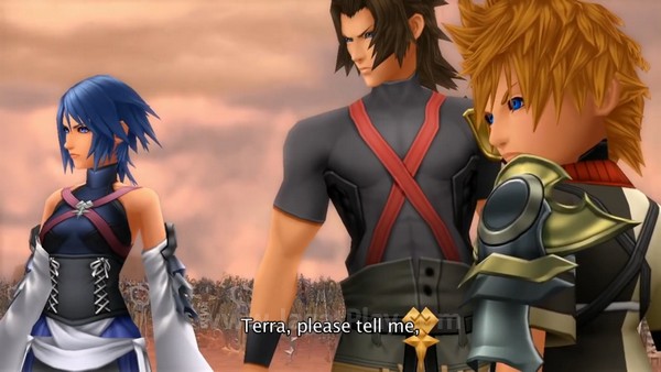 Kingdom Hearts 25 HD Remix 13