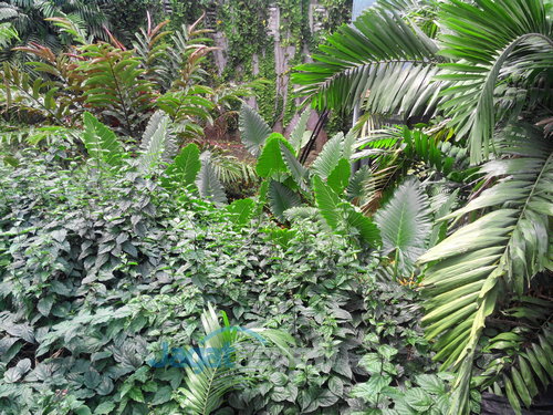 Review Smartfren Andromax V: Smartphone CDMA GSM Quad Core Kencang dan Murah 2 Smartfren Andromax V - Kamera Utama Outdoor